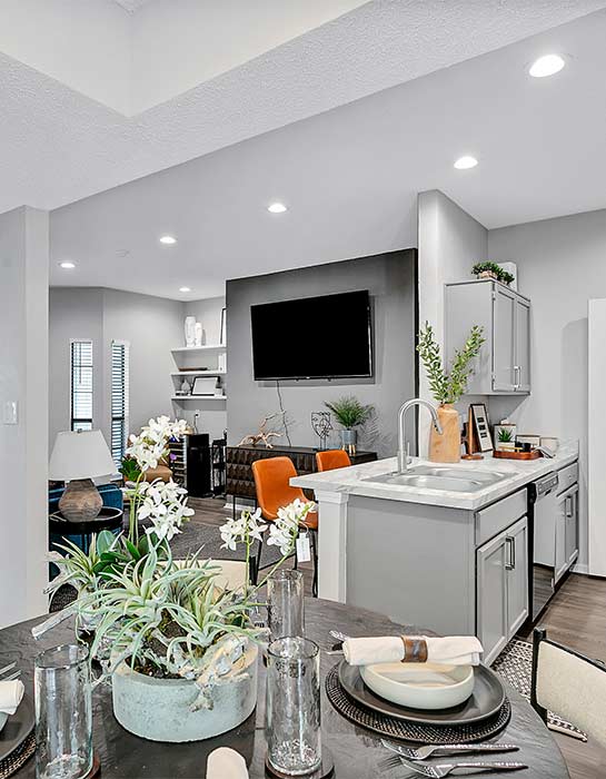 Multi-family Interior Design Unit